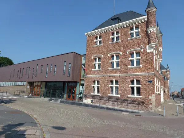 Monte Escalier Confort Plus Monte escalier Auby