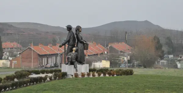 Monte Escalier Confort Plus Monte escalier Auchel