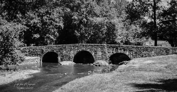Monte Escalier Confort Plus Monte escalier Azay-le-Brûlé