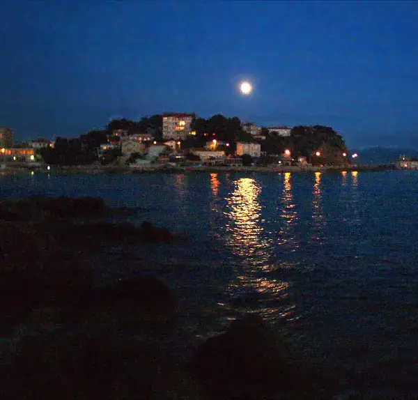Monte Escalier Confort Plus Monte escalier Bandol