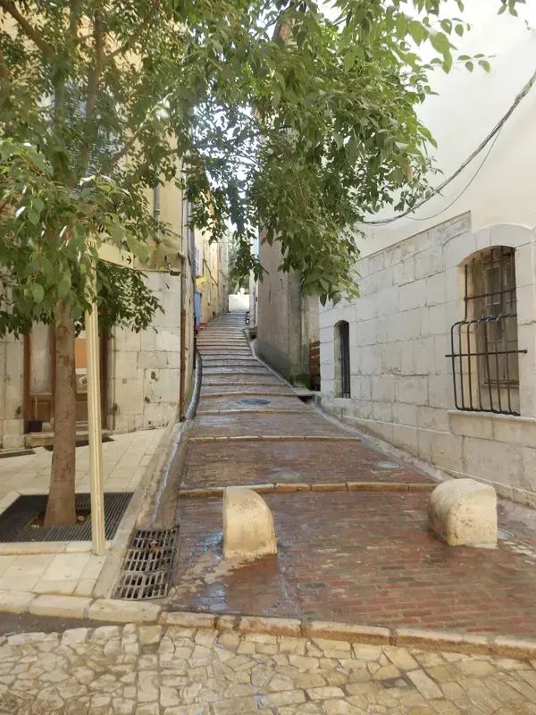 Monte Escalier Confort Plus Monte escalier Brignoles