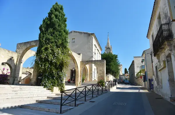 Monte Escalier Confort Plus Monte escalier Castries