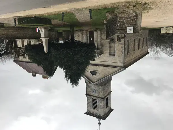 Monte Escalier Confort Plus Monte escalier Châtenois