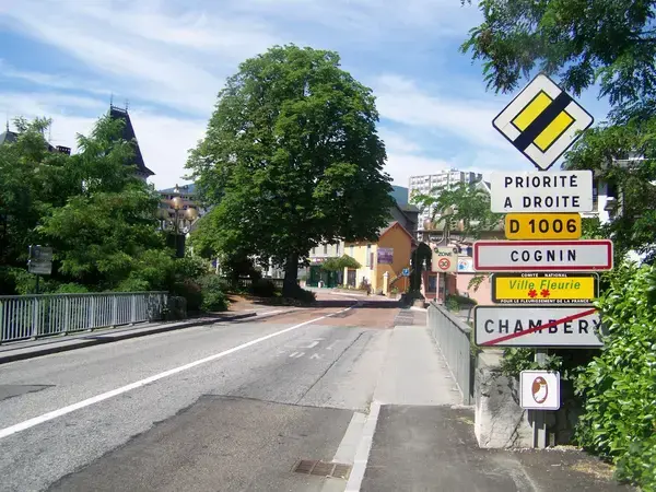 Monte Escalier Confort Plus Monte escalier Cognin