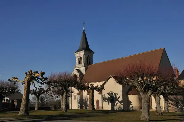 Monte Escalier Confort Plus Monte escalier Fougerolles