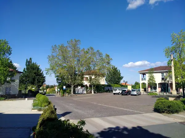 Monte Escalier Confort Plus Monte escalier Gleizé