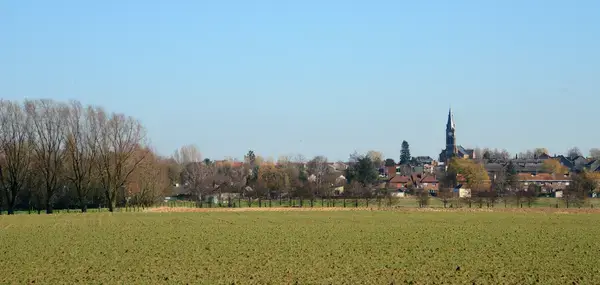 Monte Escalier Confort Plus Monte escalier Halluin