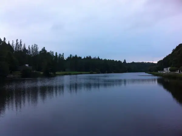 Monte Escalier Confort Plus Monte escalier Inzinzac-Lochrist