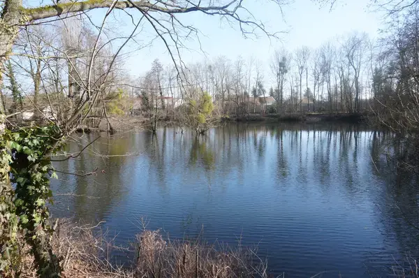 Monte Escalier Confort Plus Monte escalier La Chapelle-Saint-Luc