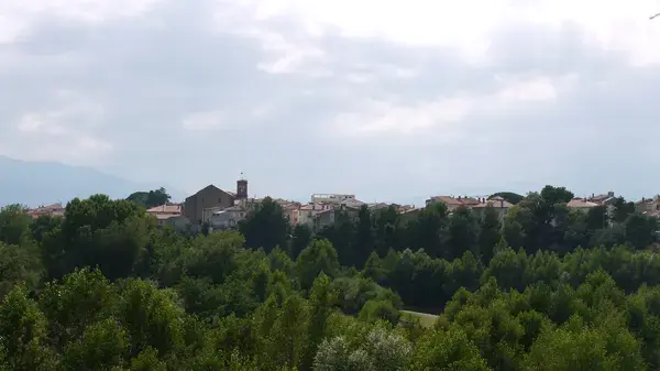 Monte Escalier Confort Plus Monte escalier Le Boulou