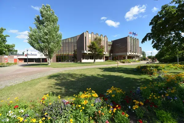 Monte Escalier Confort Plus Monte escalier Leffrinckoucke