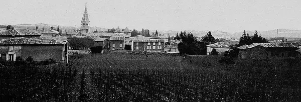 Monte Escalier Confort Plus Monte escalier Limas