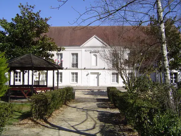 Monte Escalier Confort Plus Monte escalier Lognes