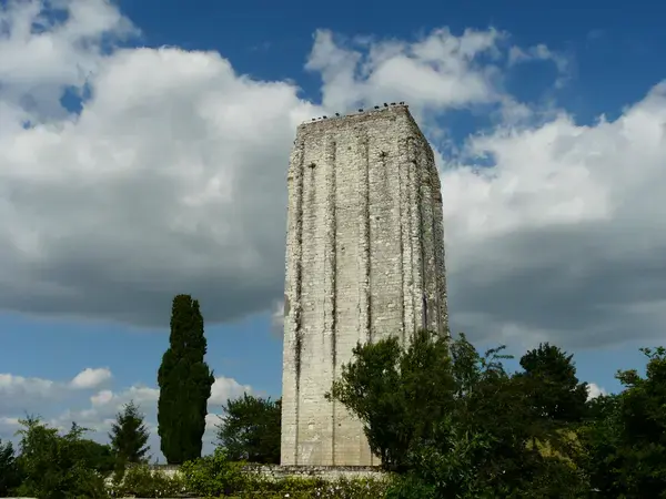 Monte Escalier Confort Plus Monte escalier Loudun