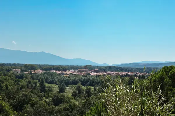Monte Escalier Confort Plus Monte escalier Millas
