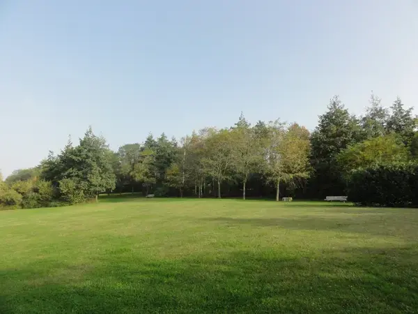 Monte Escalier Confort Plus Monte escalier Montigny-en-Gohelle