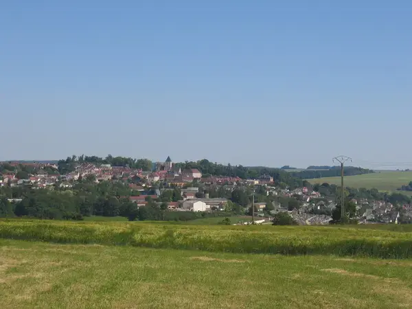 Monte Escalier Confort Plus Monte escalier Montmirail