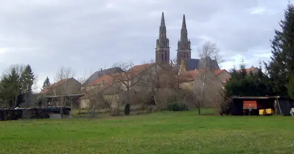 Monte Escalier Confort Plus Monte escalier Munster