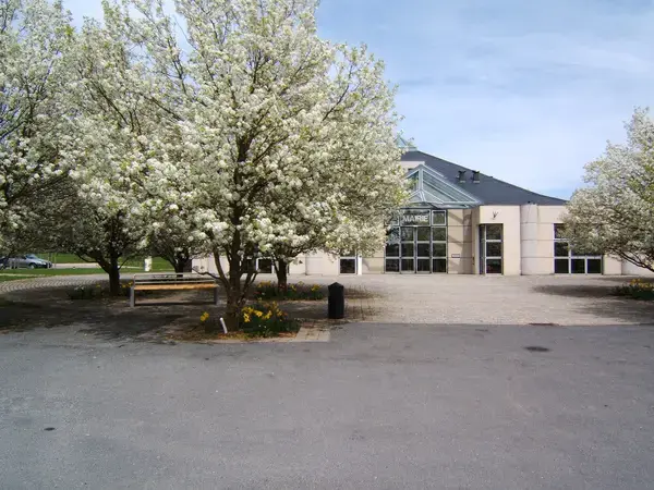 Monte Escalier Confort Plus Monte escalier Olemps