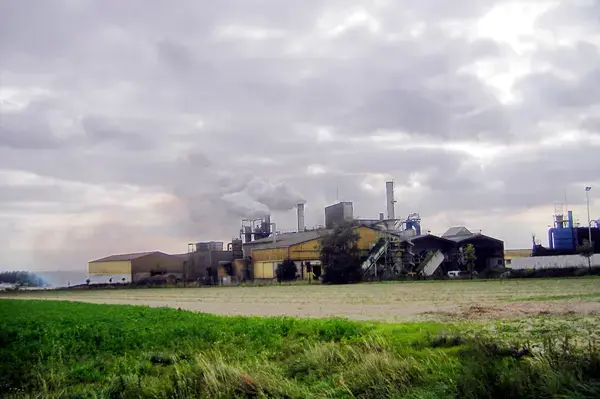 Monte Escalier Confort Plus Monte escalier Ormes