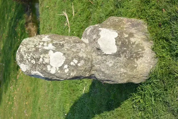 Monte Escalier Confort Plus Monte escalier Prinquiau