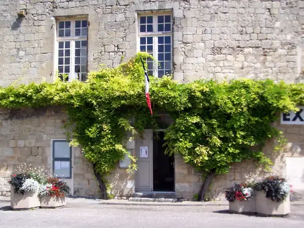 Monte Escalier Confort Plus Monte escalier Pujols