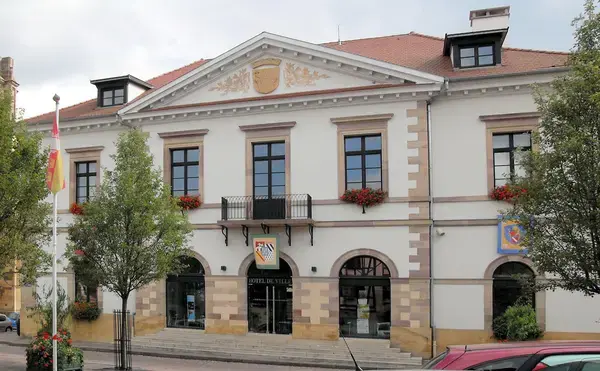 Monte Escalier Confort Plus Monte escalier Rouffach