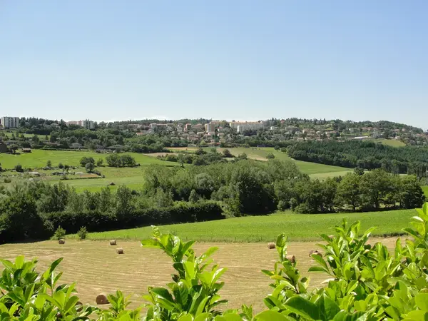 Monte Escalier Confort Plus Monte escalier Saint-Genest-Lerpt