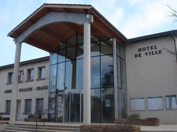 Monte Escalier Confort Plus Monte escalier Saint-Pierre-de-Chandieu