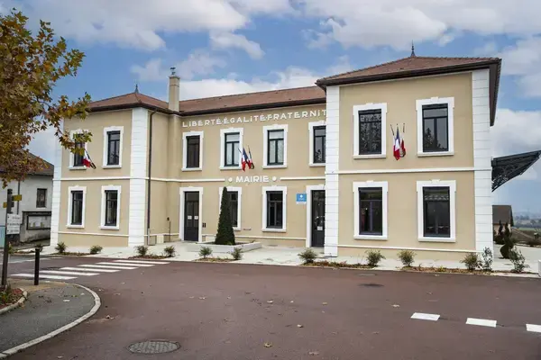 Monte Escalier Confort Plus Monte escalier Satolas-et-Bonce