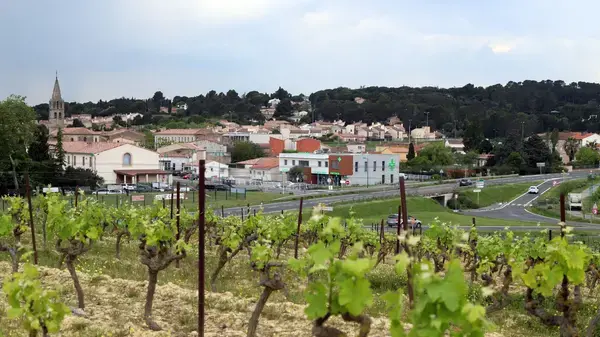 Monte Escalier Confort Plus Monte escalier Villemoustaussou